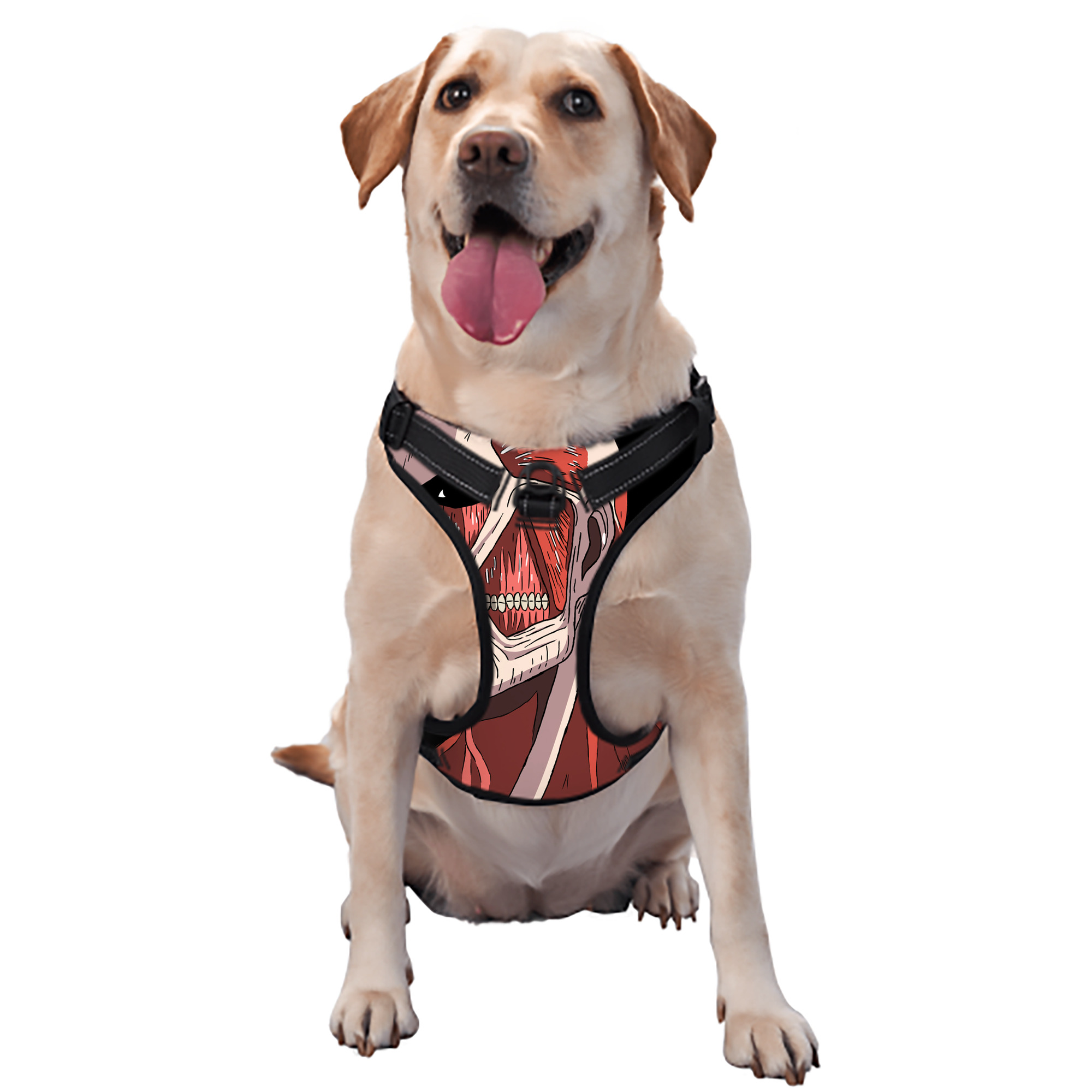 （画像用） 進撃の巨人 Attack on Titan ペット用ハーネス